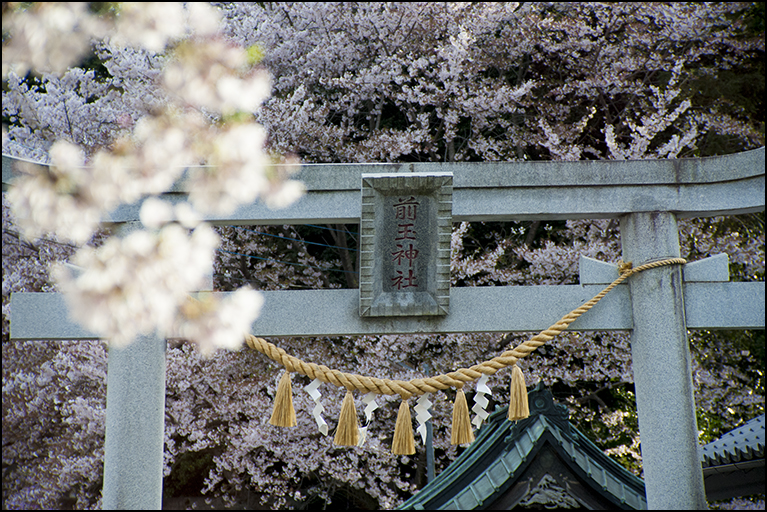 ニの鳥居