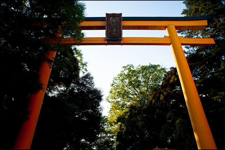 大鳥居