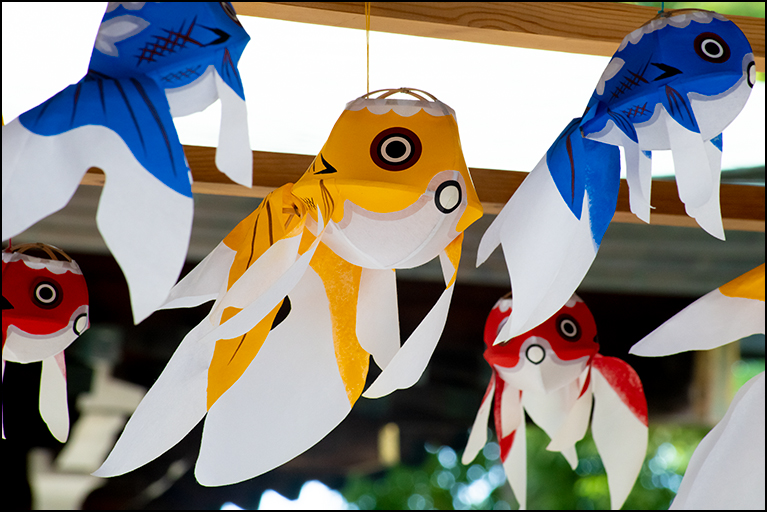 金魚ちょうちん