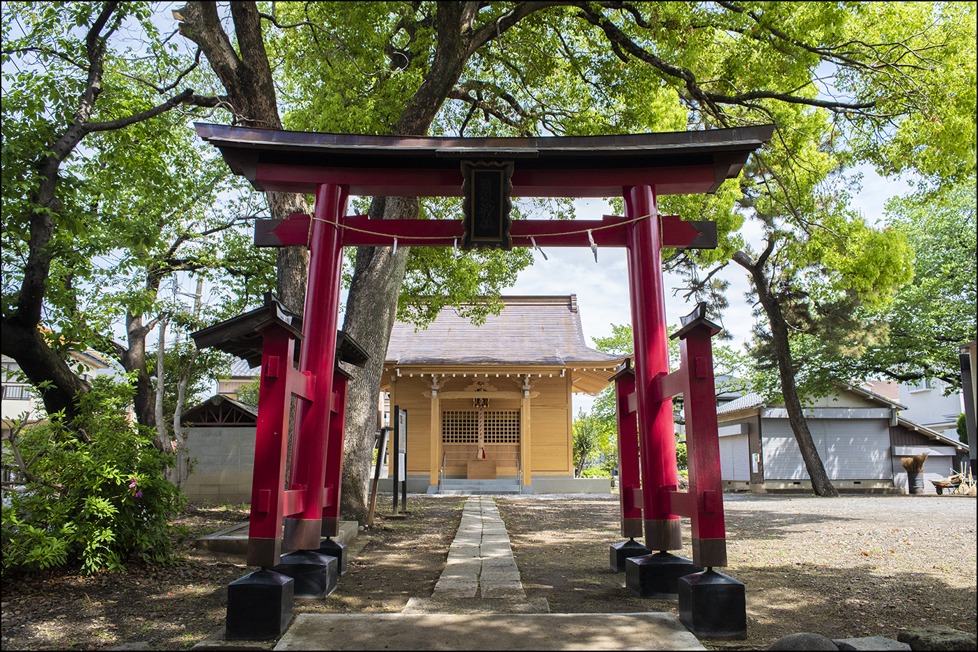 鳥居より拝殿を望む