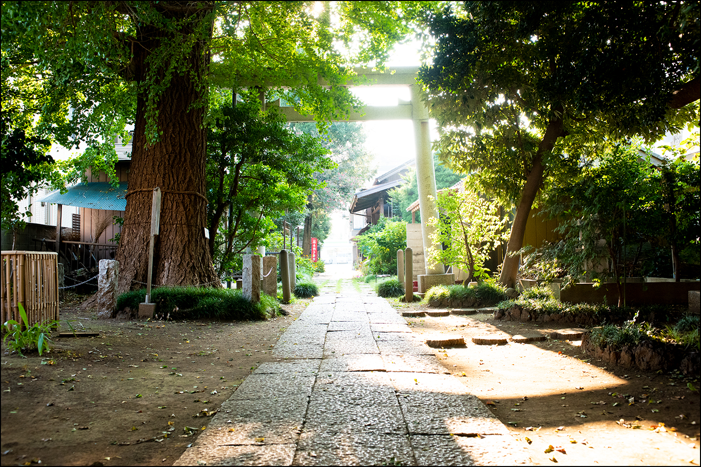 参道