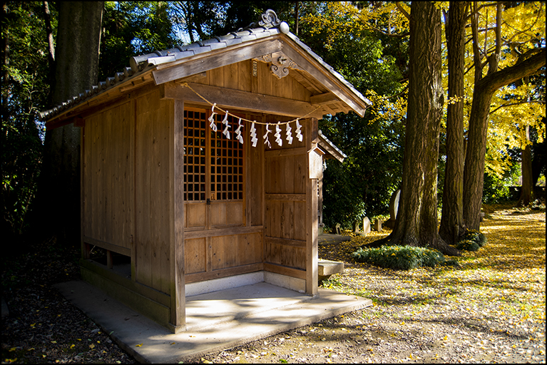 琴平神社