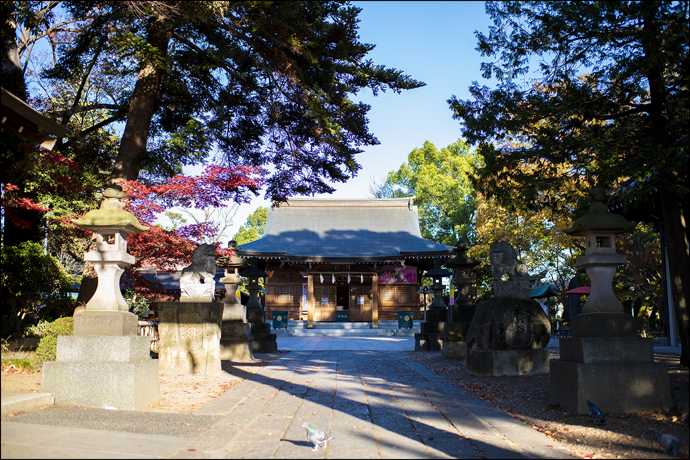 参道