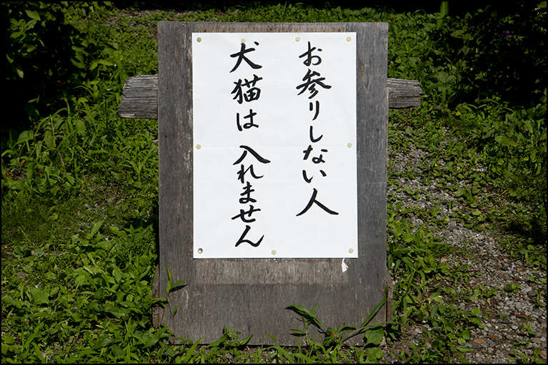 そりゃそうだ
