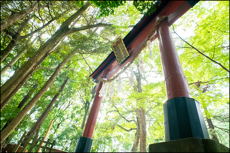 鳥居