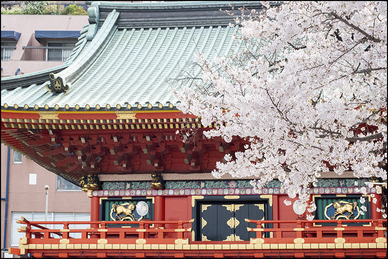 隨神門