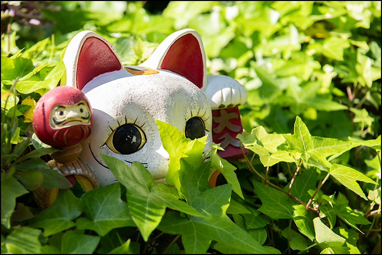 招き猫
