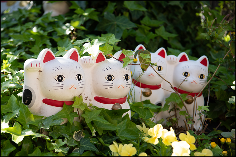 招き猫