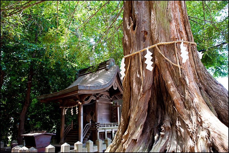 ご神木から御嶽神社を望む