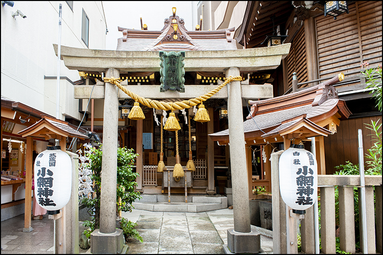 鳥居より拝殿を望む