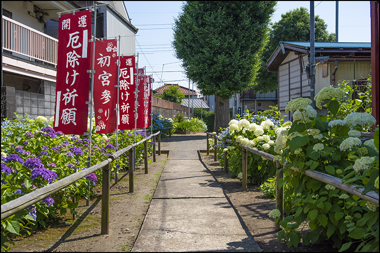 参道
