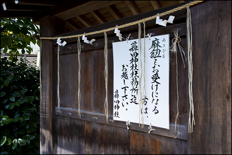 椿神社