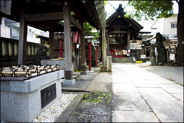 雷井戸より拝殿を望む