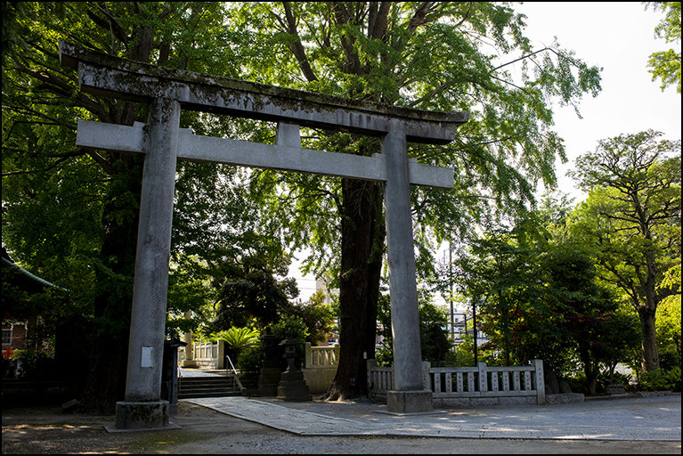 大鳥居