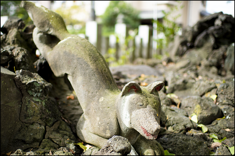 狐穴の眷属