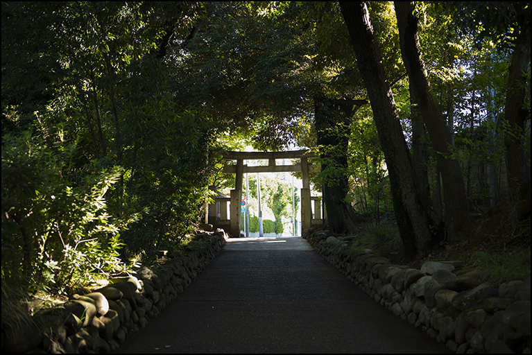 参道