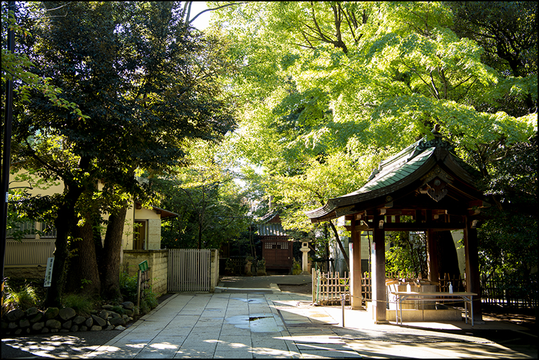 参道