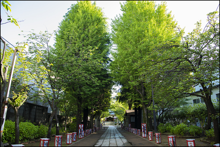 参道