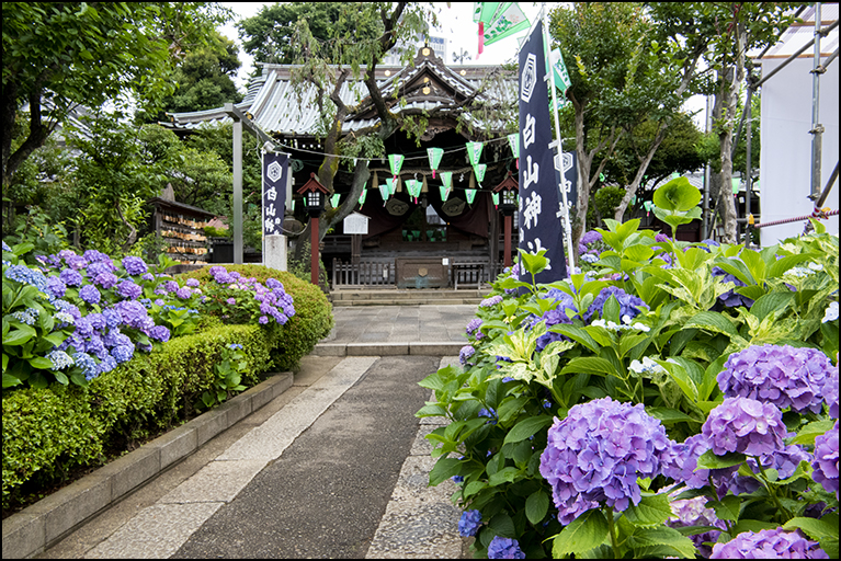 参道
