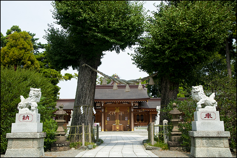 参道よりご神木を望む