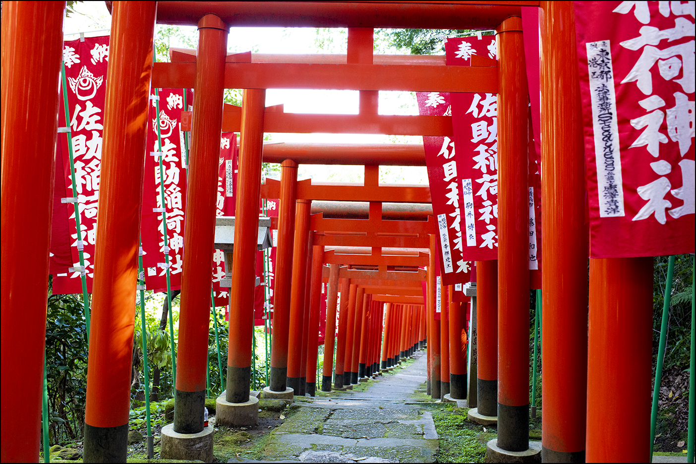 参道