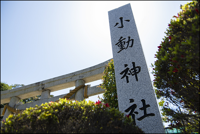 社号標