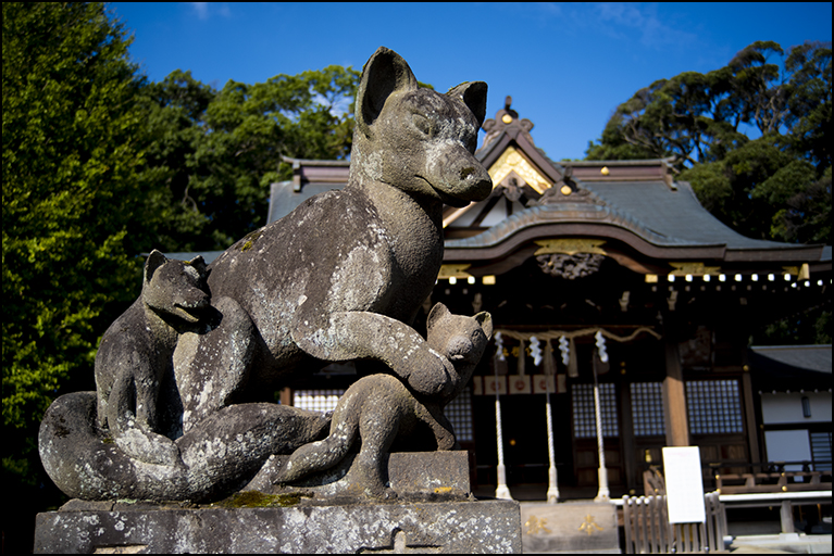眷属
