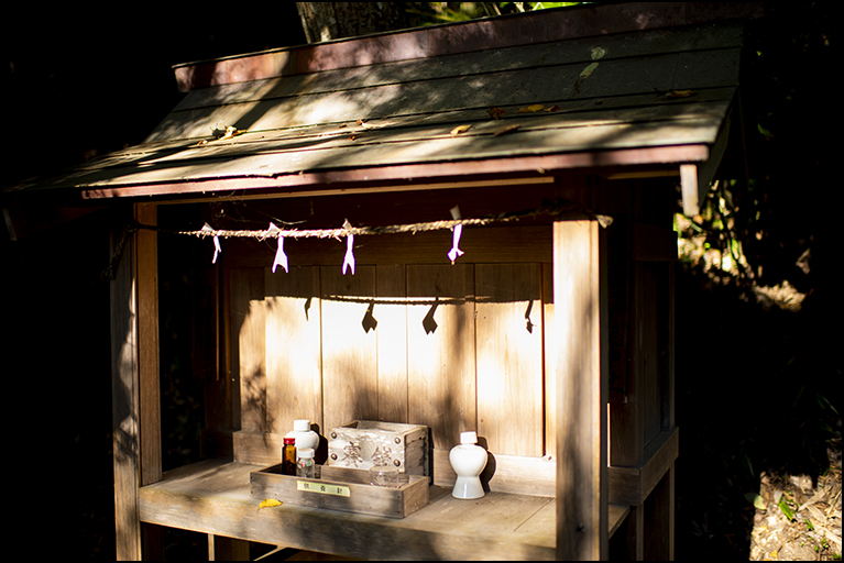 淡島神社・疱瘡守護神社