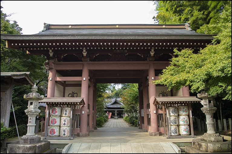 随身門