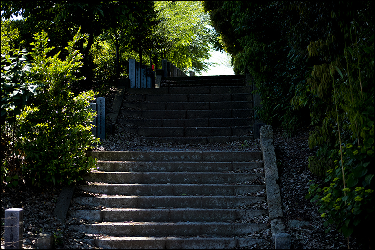 参道
