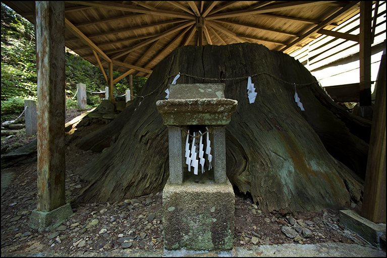 大杉神社