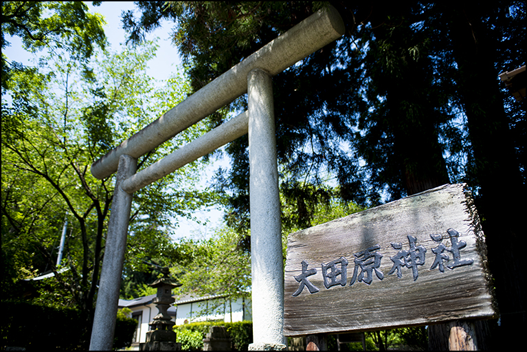 社号標