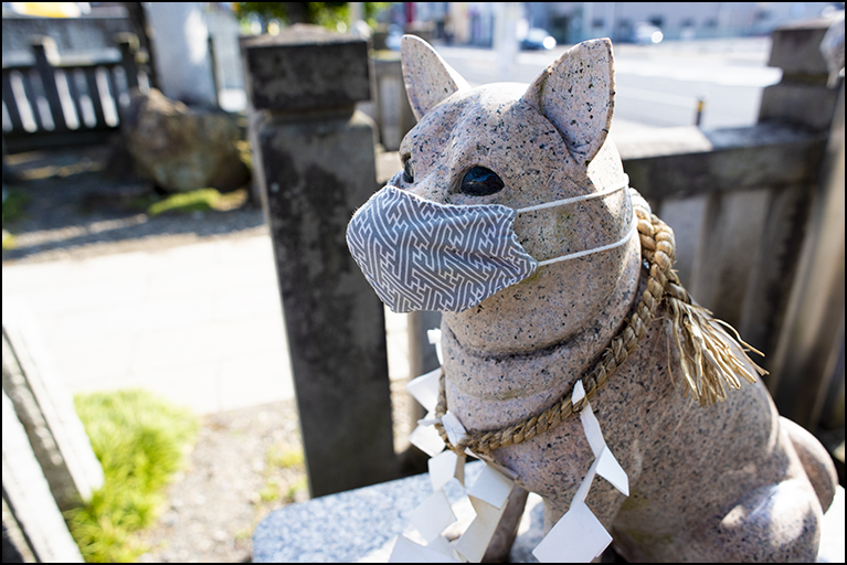 こま犬さん