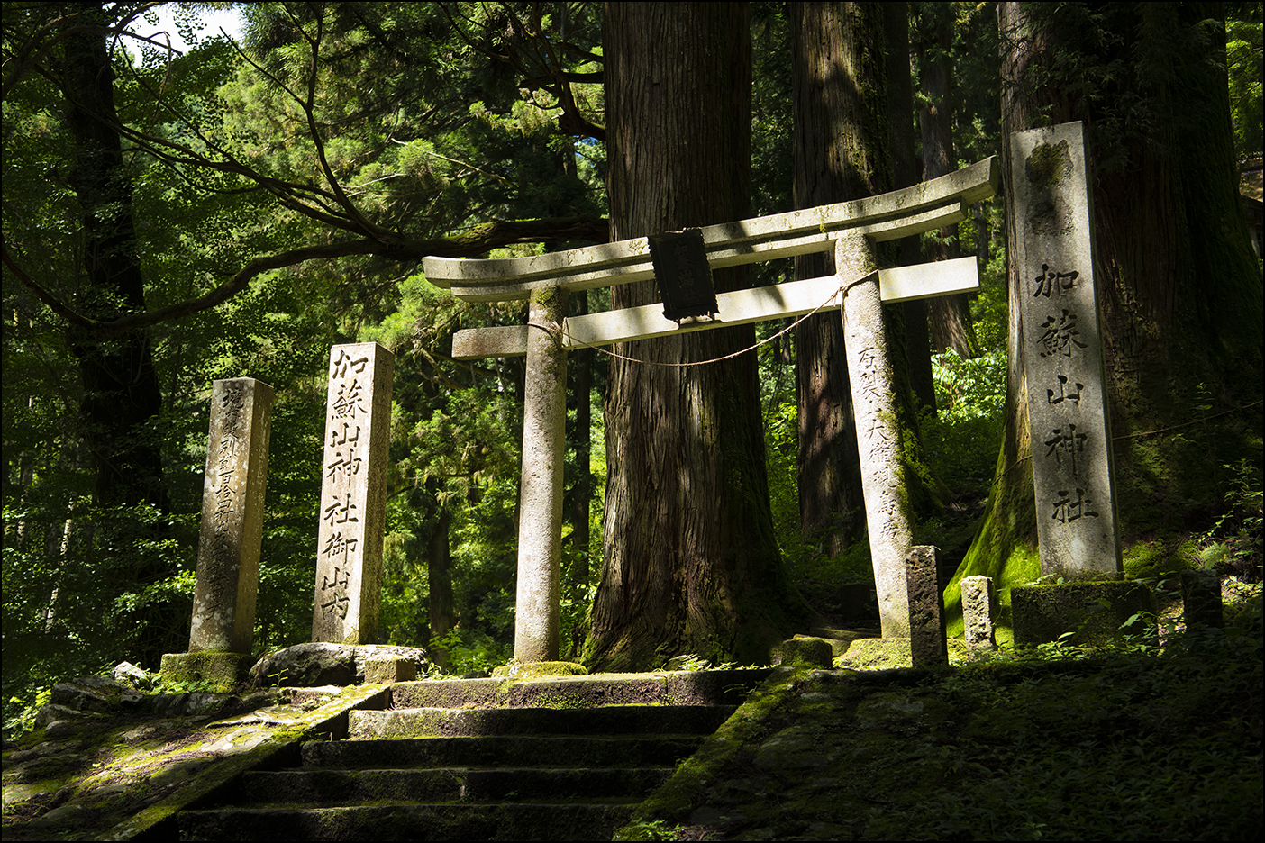 社号標・鳥居