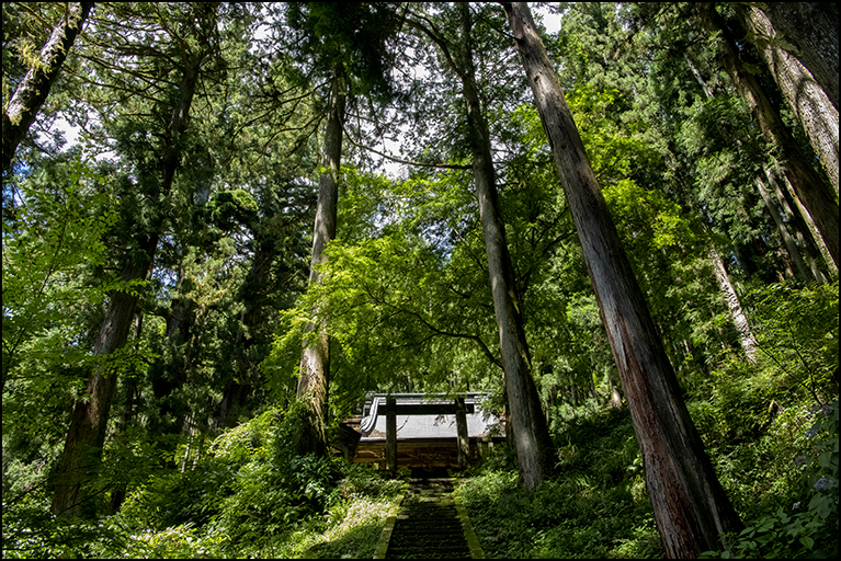 社叢