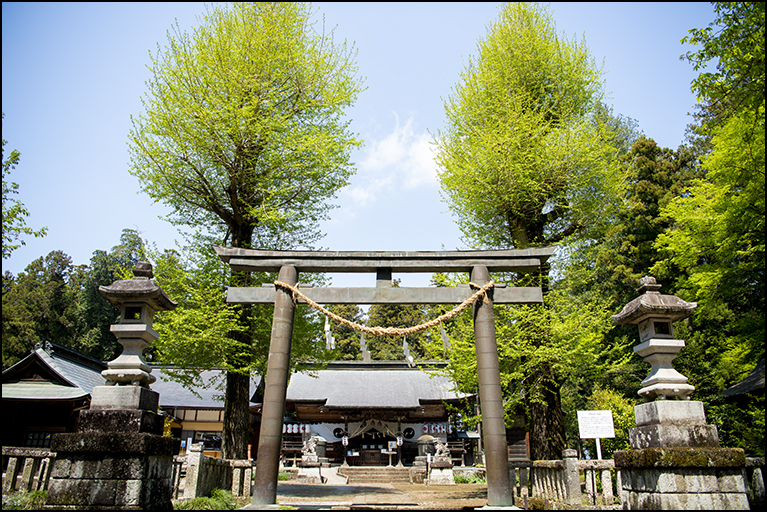 表参道鳥居
