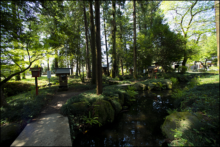 室の八嶋