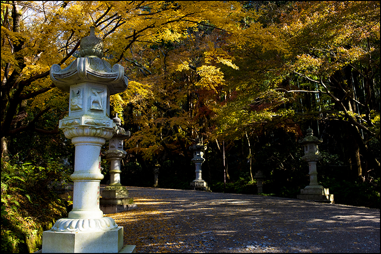 参道