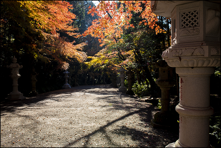 参道