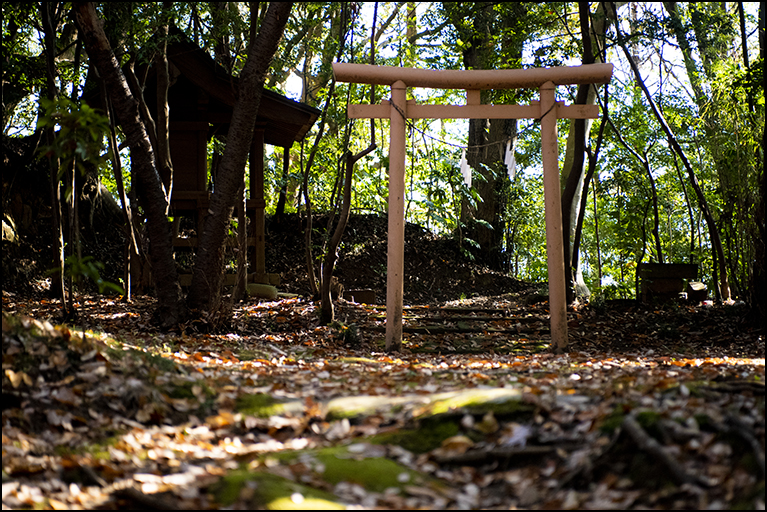 狐坐山神社