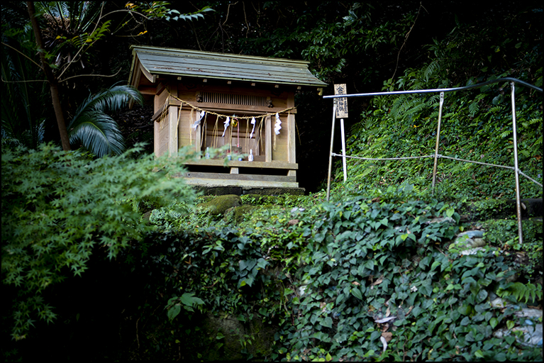 金比羅神社