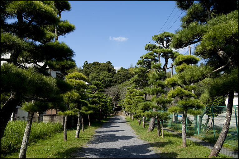 参道
