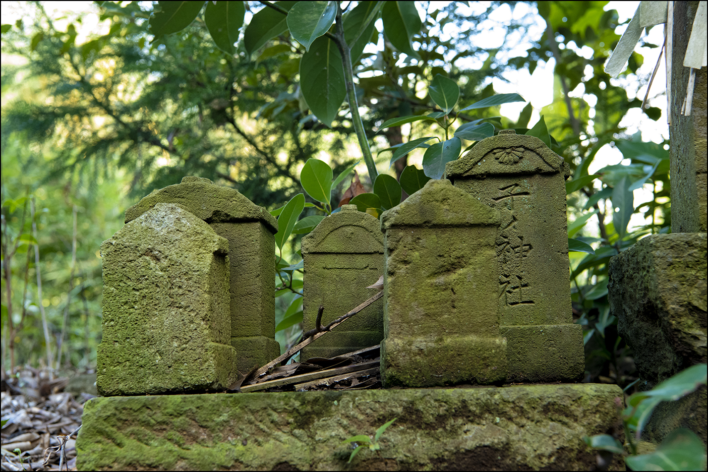 素羽鷹神社