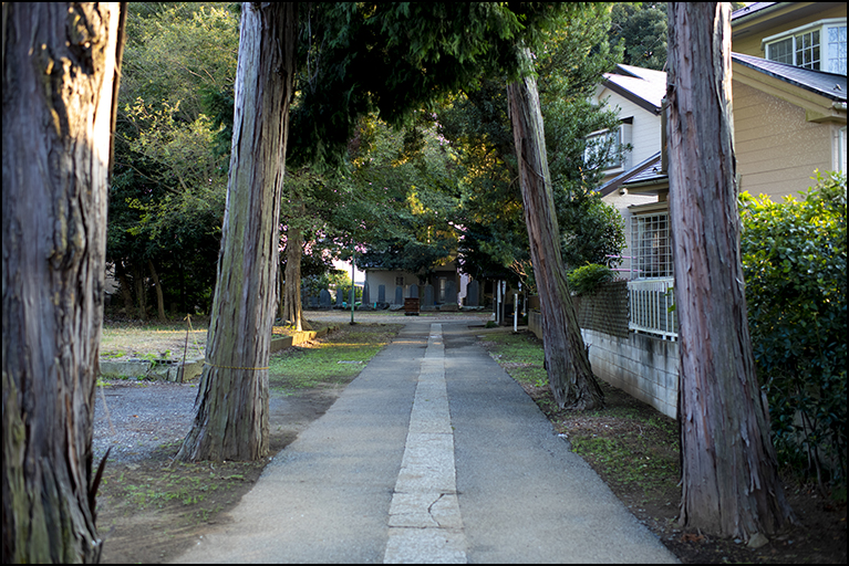 参道