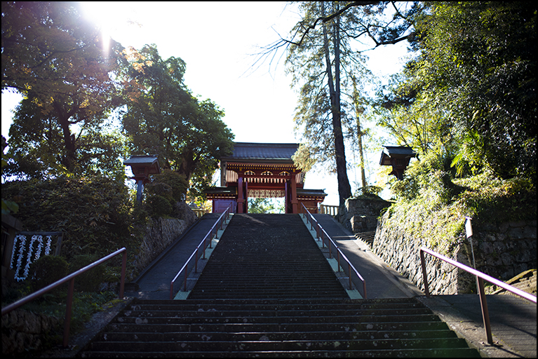 下り参道
