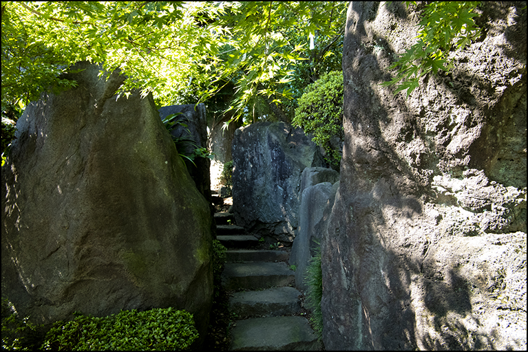 登龍門