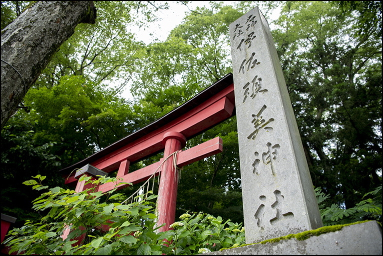 東参道の社号標に鳥居