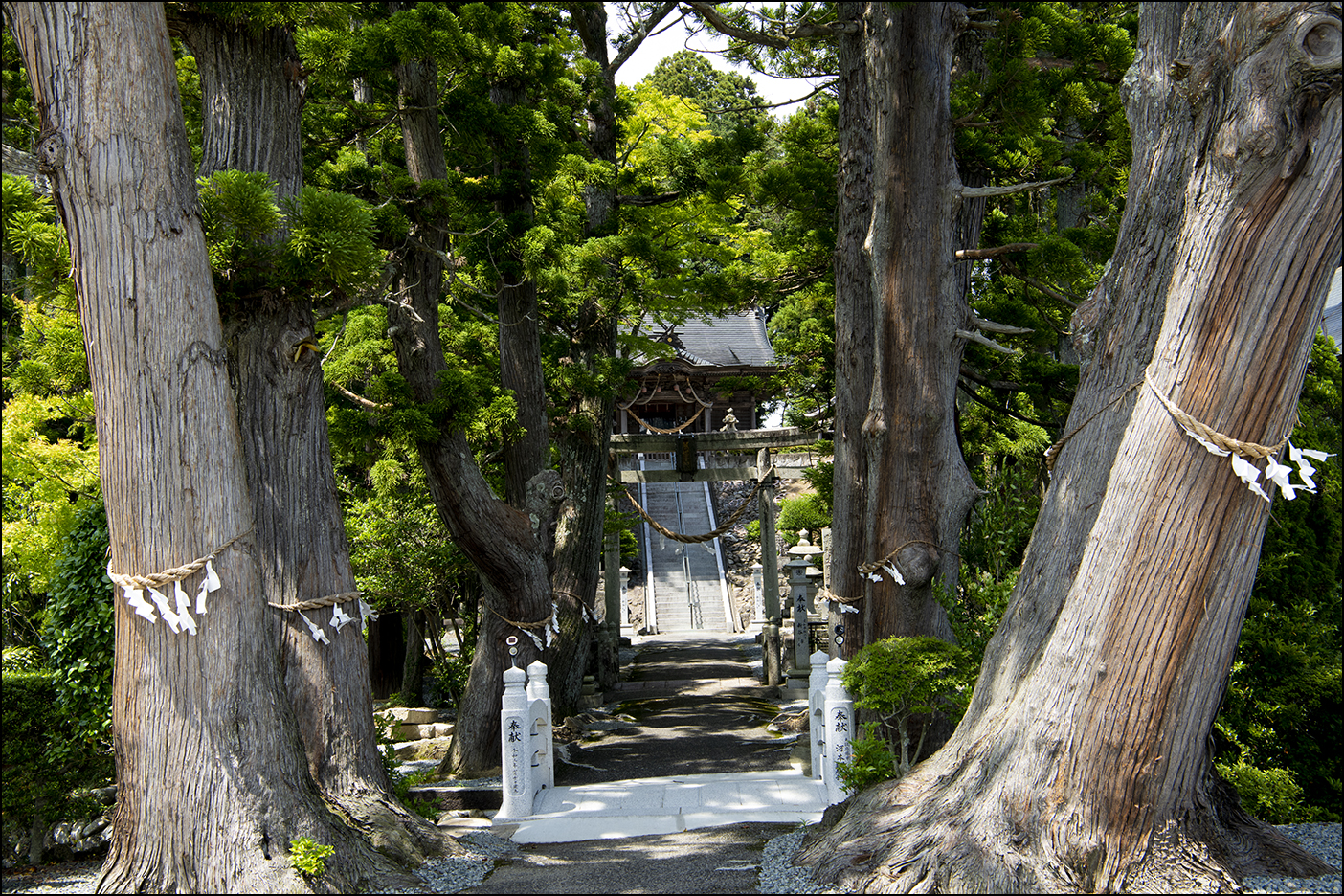 参道