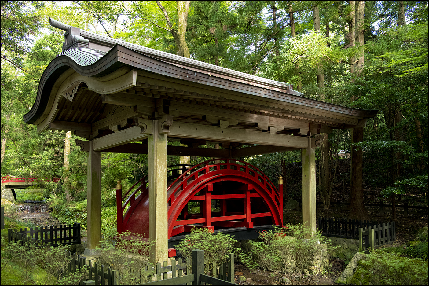 玉の橋