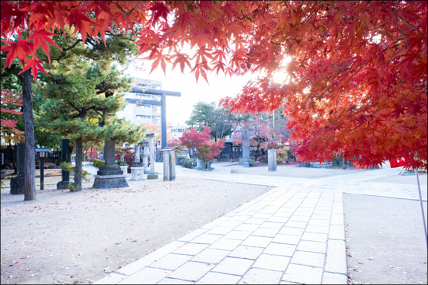 参道